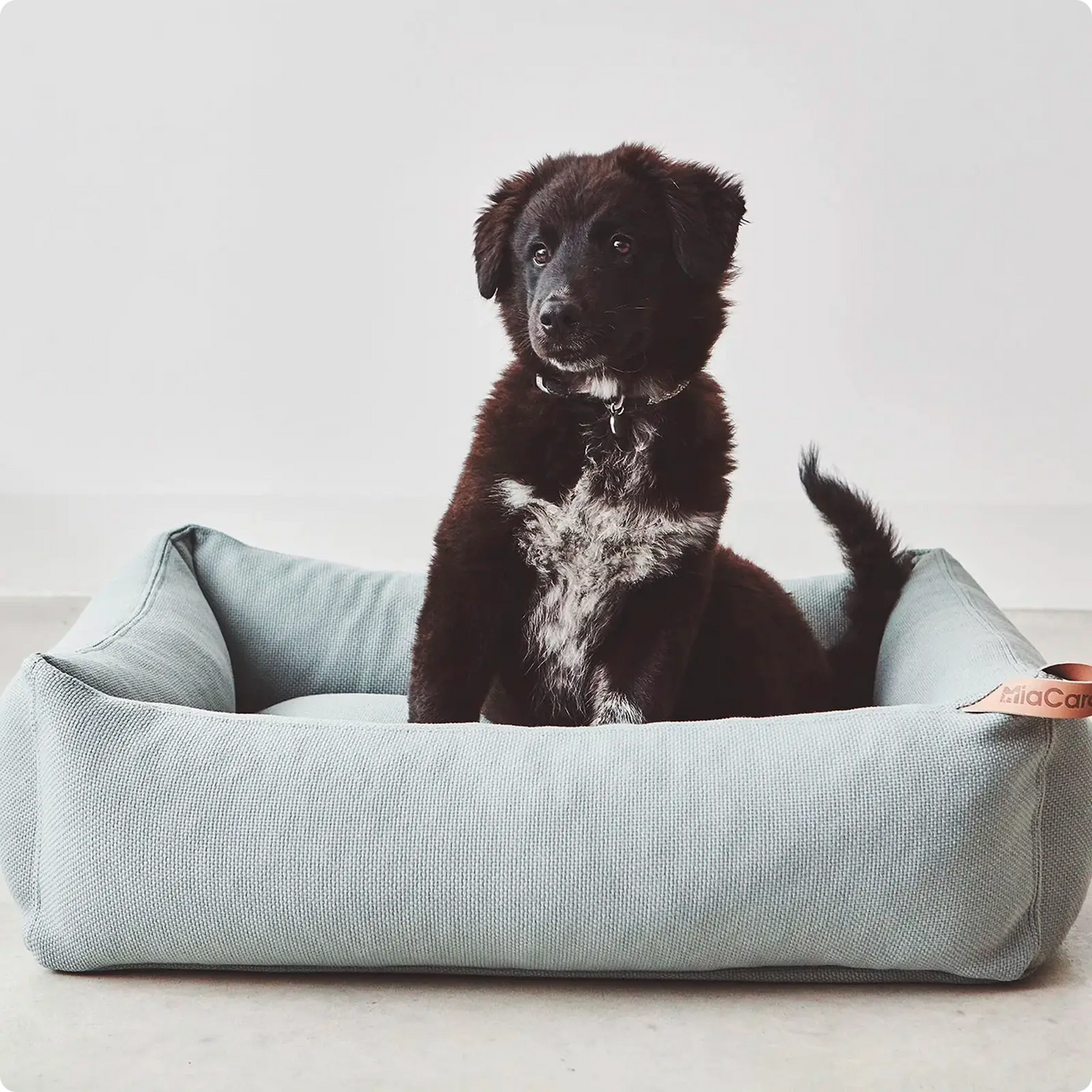Lit pour Chien Sonno Glacier MiaCara - CHOUKETT Paris (21)