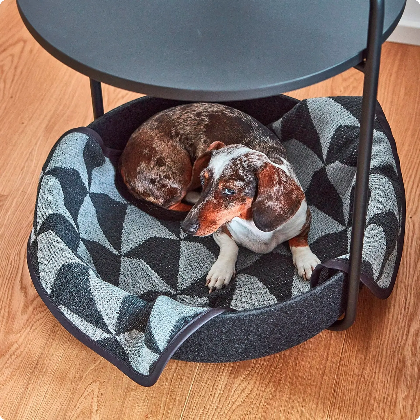 Table d'Appoint pour Chien - Tavolino - Concrete