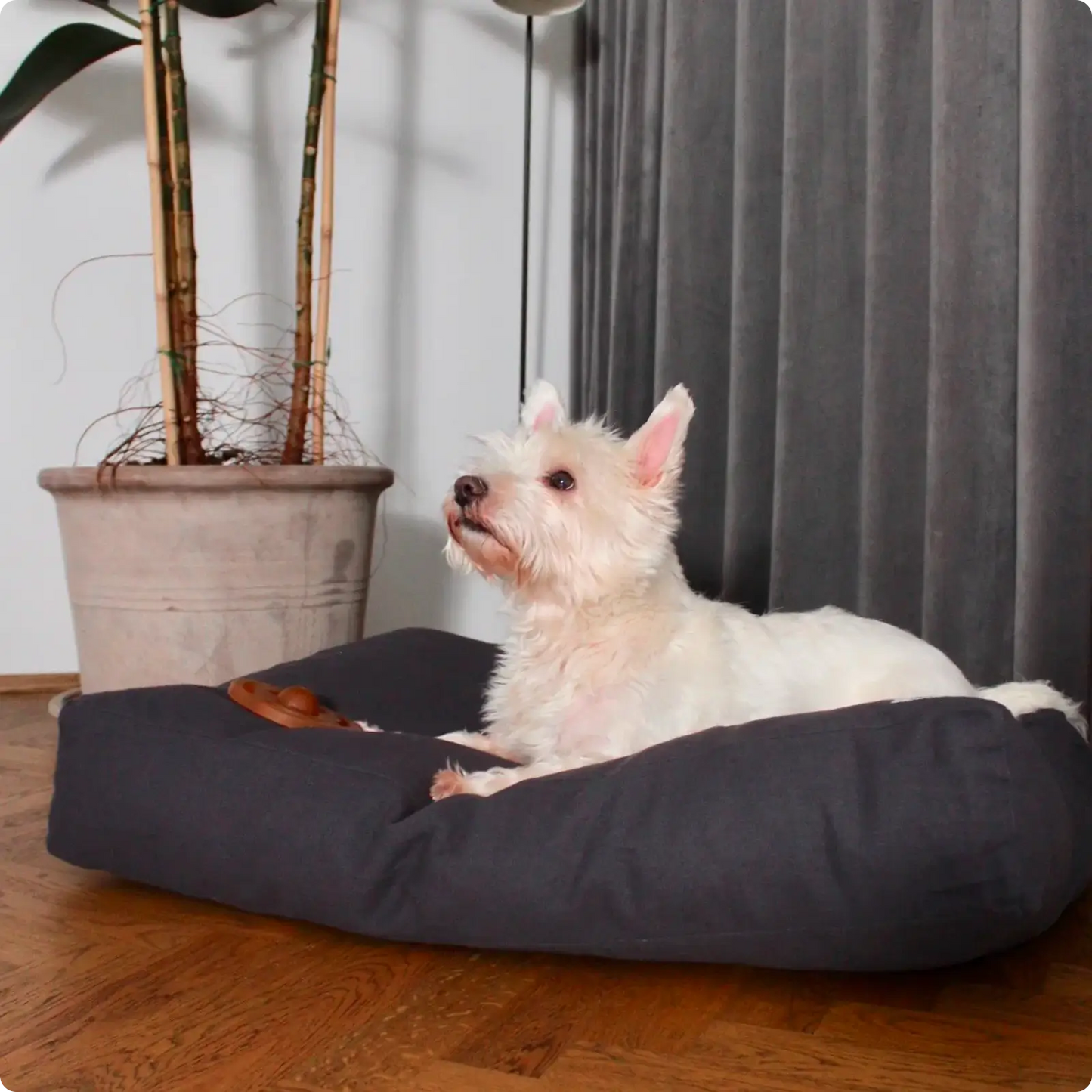 Coussin pour Chien Tobine Warm Grey Tadazhi - CHOUKETT Paris (3)