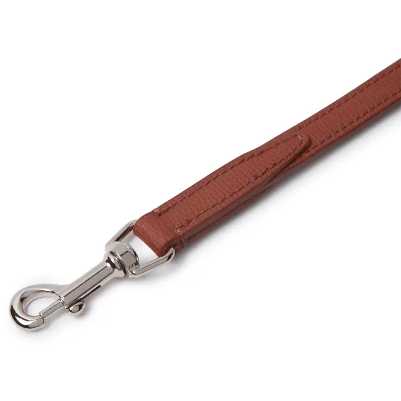 Laisse chien Chestnut & Amber Molly & Stitch - Tuscan | CHOUKETT Paris (2)