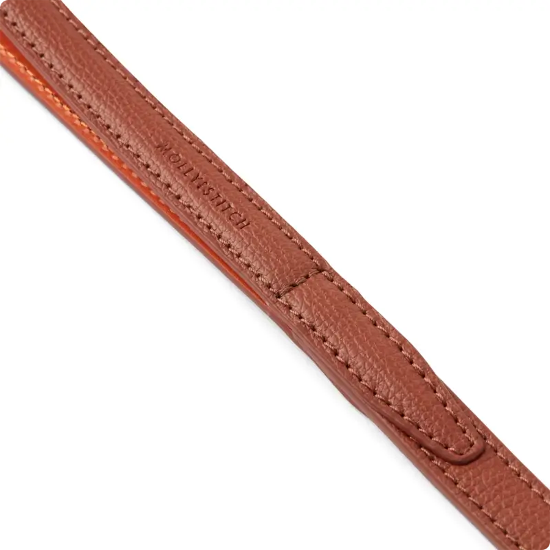 Laisse chien Chestnut & Amber Molly & Stitch - Tuscan | CHOUKETT Paris (3)