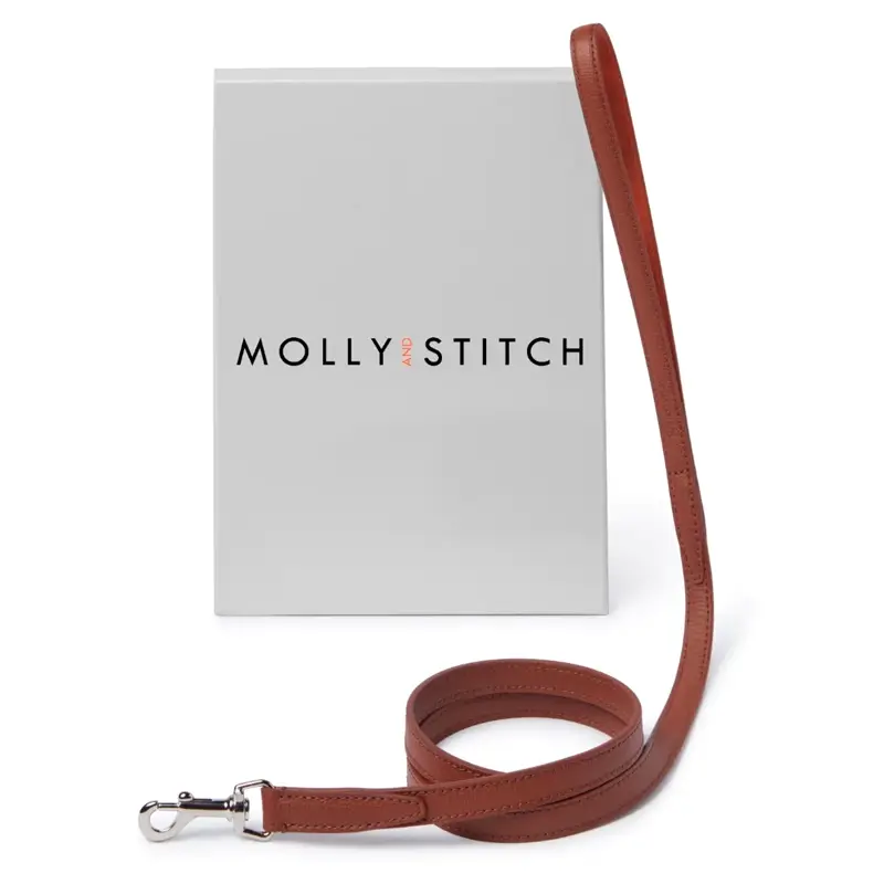 Laisse chien Chestnut & Amber Molly & Stitch - Tuscan - CHOUKETT Paris (4)