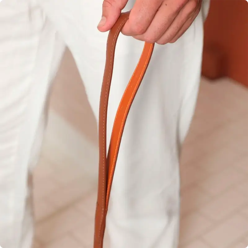 Laisse chien Chestnut & Amber Molly & Stitch - Tuscan | CHOUKETT Paris (6)