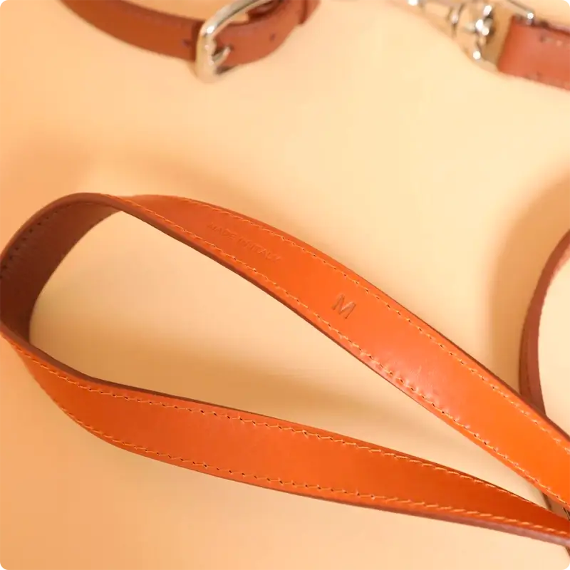 Laisse chien Chestnut & Amber Molly & Stitch - Tuscan | CHOUKETT Paris (7)