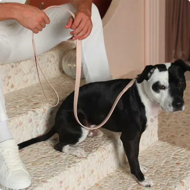 Laisse chien Rosé & Mauve Molly & Stitch - Tuscan - CHOUKETT Paris (7)
