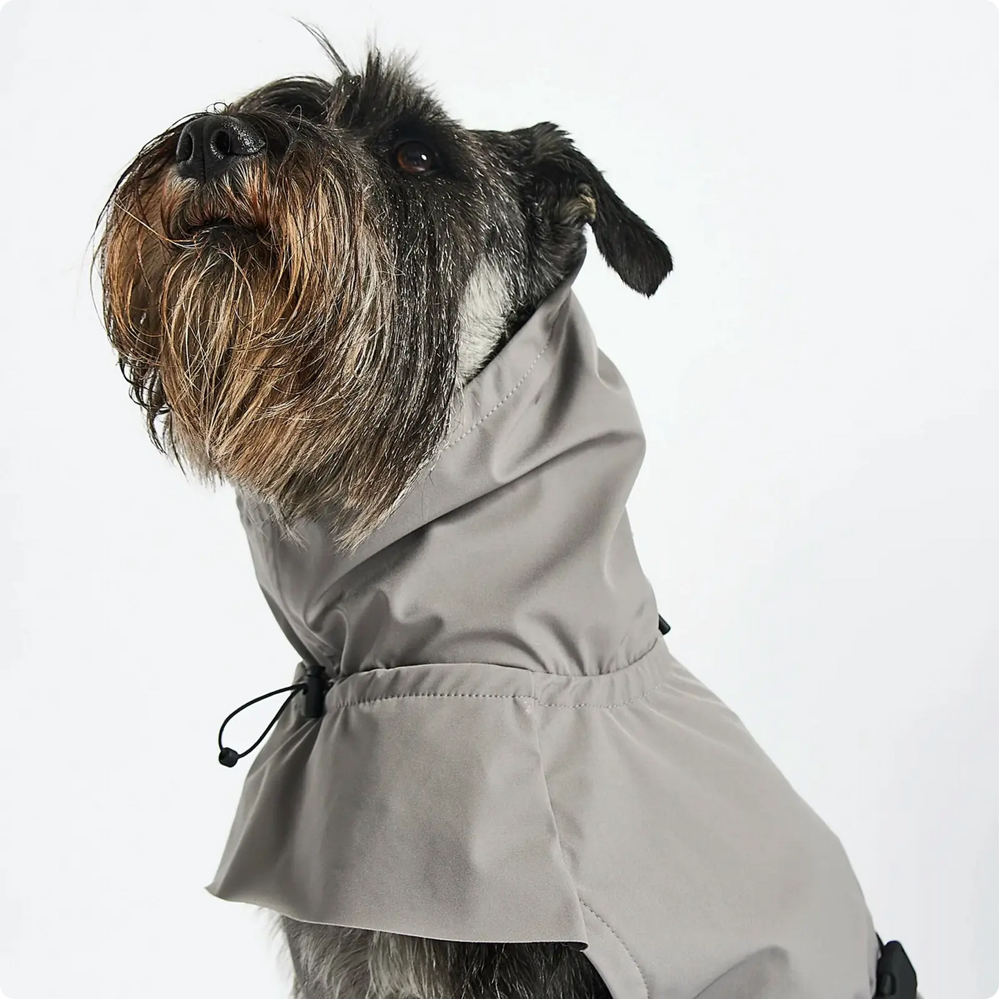 Imperméable pour Chien Valentina Concrete MiaCara - CHOUKETT Paris (3)