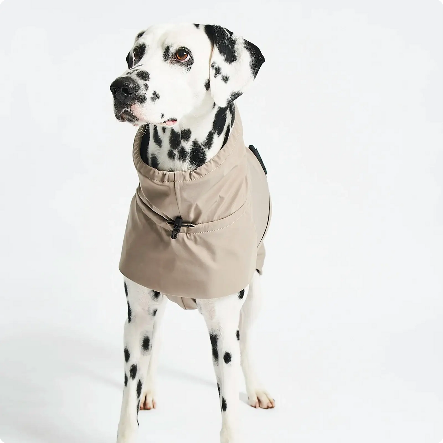 Imperméable pour Chien Valentina Concrete MiaCara - CHOUKETT Paris (5)