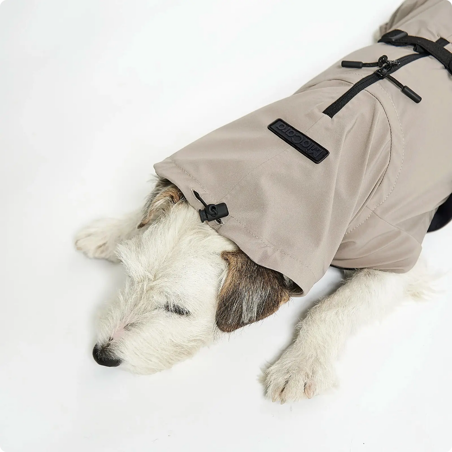 Imperméable pour Chien Valentina Concrete MiaCara - CHOUKETT Paris (6)