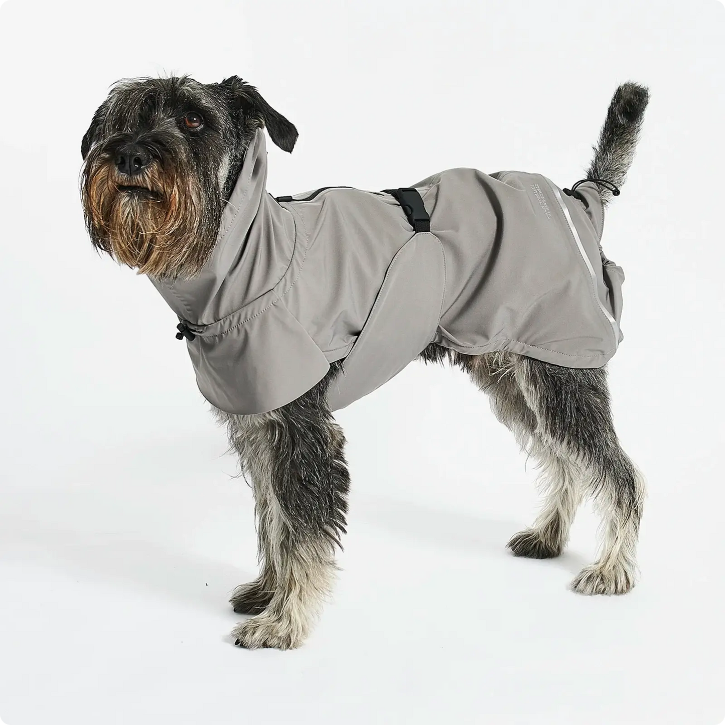 Imperméable pour Chien Valentina Concrete MiaCara - CHOUKETT Paris (2)