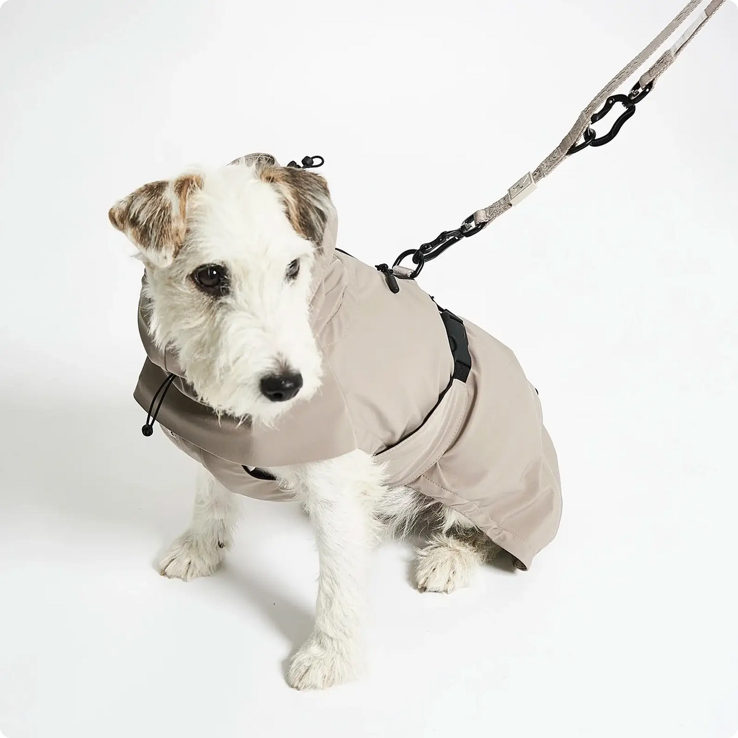 Imperméable pour Chien Valentina Concrete MiaCara - CHOUKETT Paris (7)