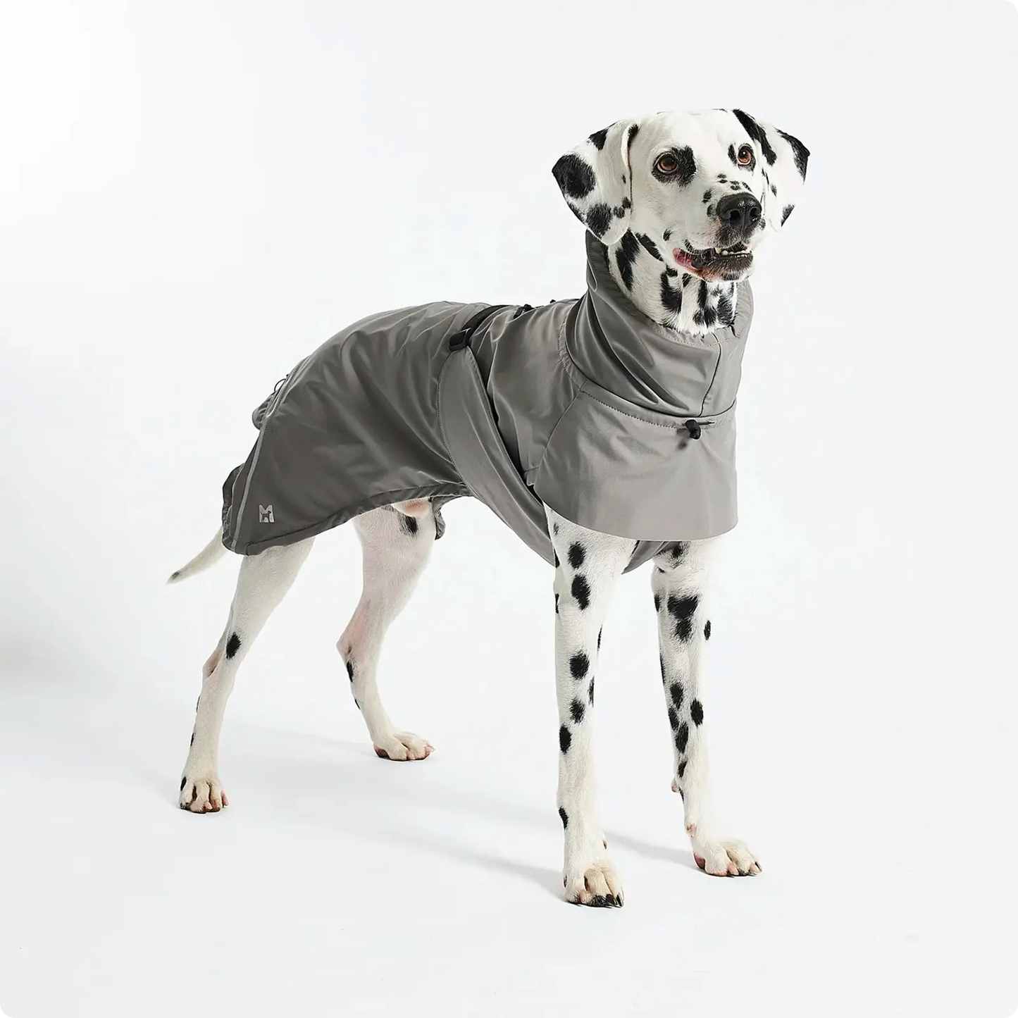 Imperméable pour Chien Valentina Concrete MiaCara - CHOUKETT Paris (4)