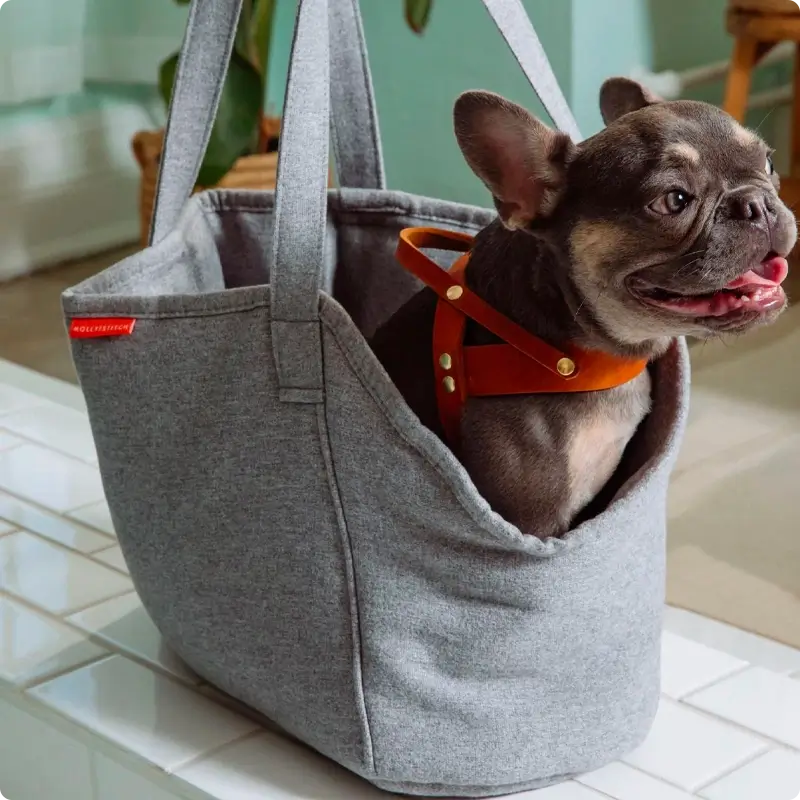 Sac de transport pour Chien Grey Molly & Stitch - Alpine - CHOUKETT Paris (6)