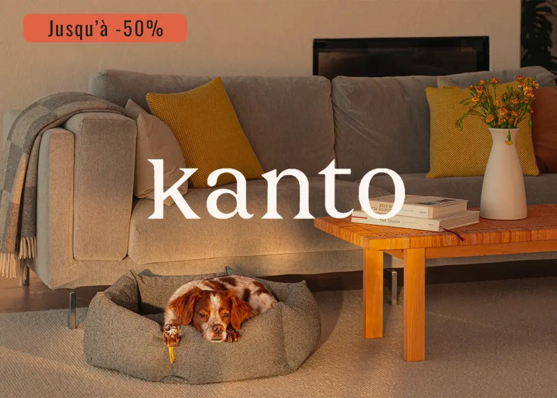 Bannière Vente Privée Kanto 2511 - CHOUKETT Paris