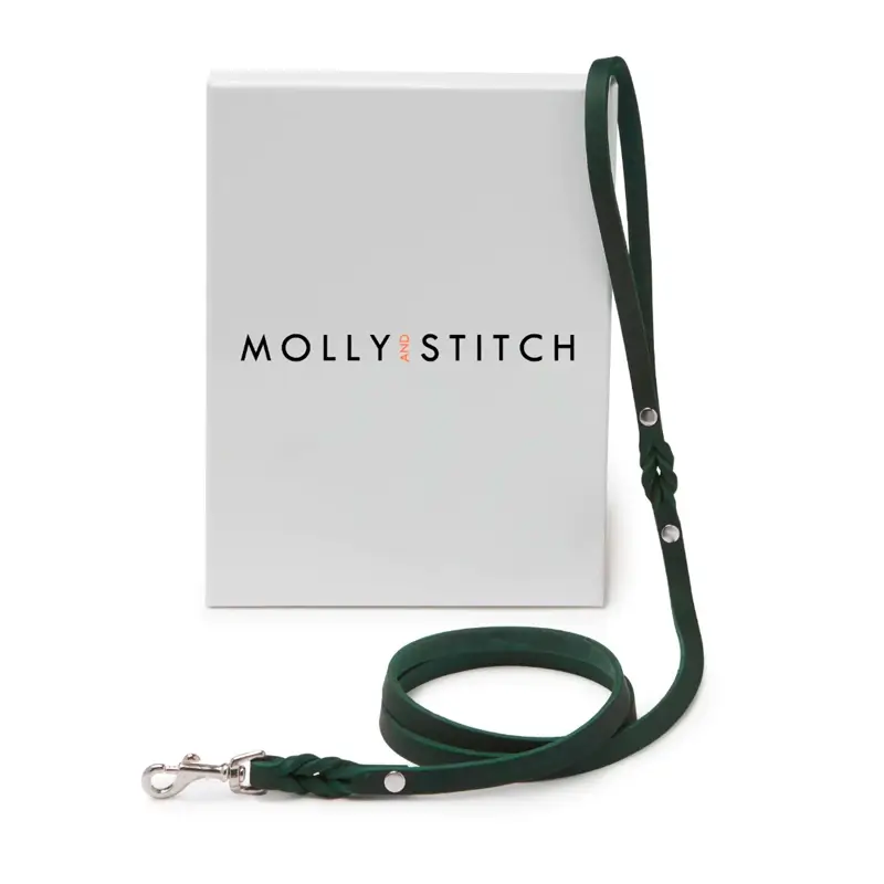 Laisse chien Forest Green Molly & Stitch - Butter Leather - CHOUKETT Paris (6)