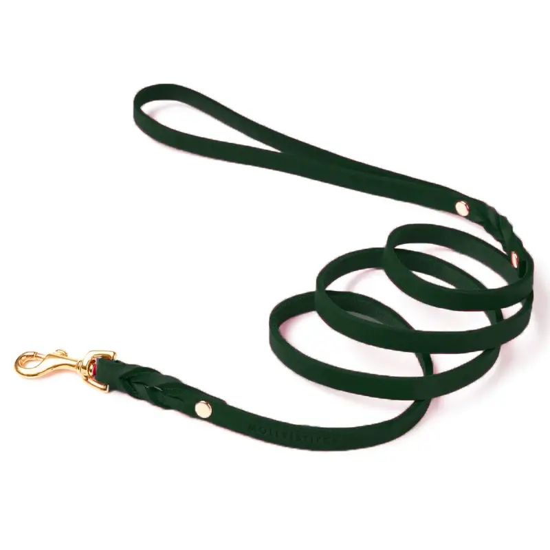 Laisse chien Forest Green Molly & Stitch - Butter Leather - CHOUKETT Paris (1)