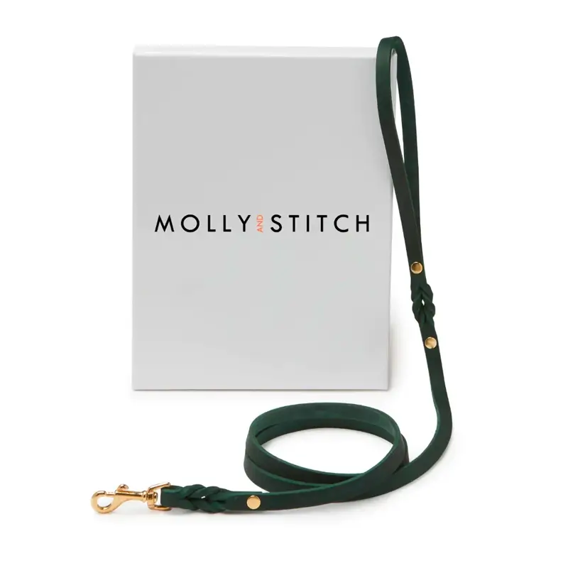 Laisse chien Forest Green Molly & Stitch - Butter Leather - CHOUKETT Paris (3)