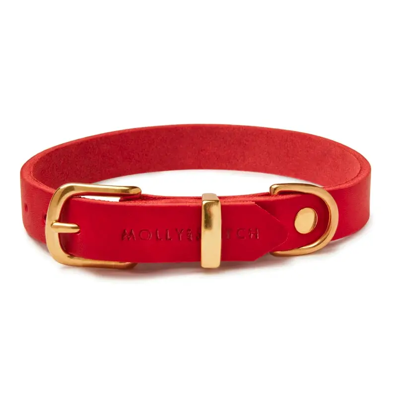 Collier chien Red chili Molly & Stitch - Butter Leather - CHOUKETT Paris (1)