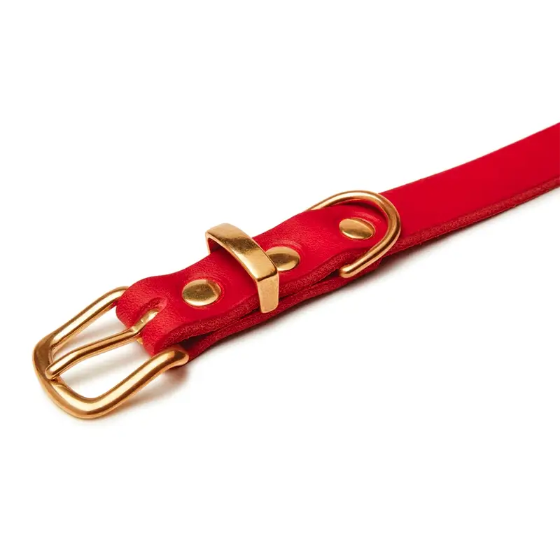 Collier chien Red chili Molly & Stitch - Butter Leather - CHOUKETT Paris (2)