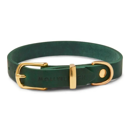 Collier chien Forest Green Molly & Stitch - Butter Leather - CHOUKETT Paris (1)