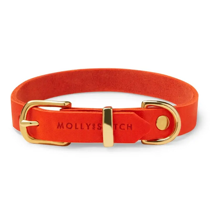 Collier chien Mango Molly & Stitch - Butter Leather - CHOUKETT Paris (1)