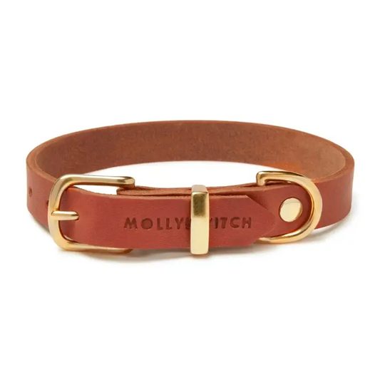 Collier chien Sahara Cognac Molly & Stitch - Butter Leather - CHOUKETT Paris (1)