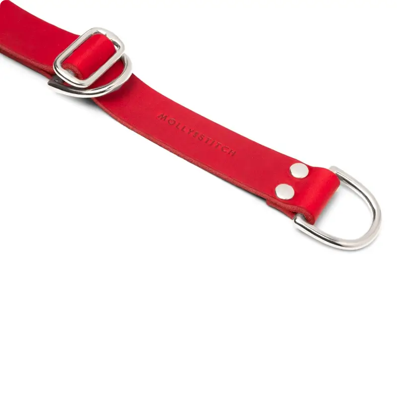 Collier de Retriever chien Chili Red Molly & Stitch - Butter Leather - CHOUKETT Paris (4)