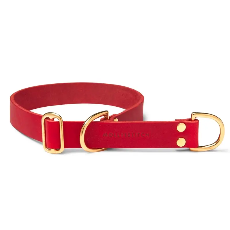 Collier de Retriever chien Chili Red Molly & Stitch - Butter Leather - CHOUKETT Paris (2)