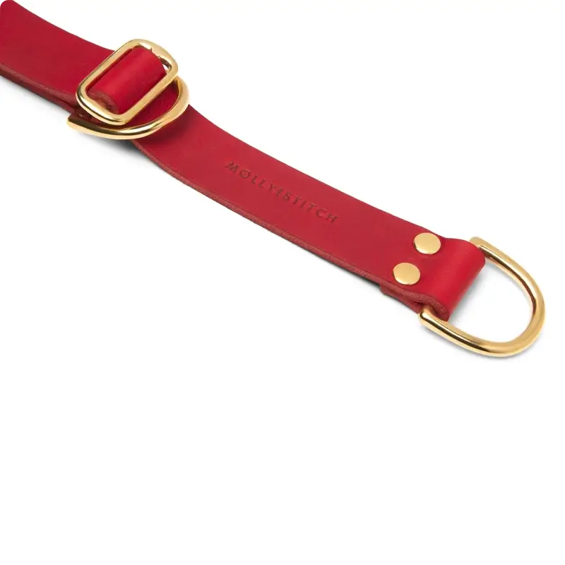 Collier de Retriever chien Chili Red Molly & Stitch - Butter Leather - CHOUKETT Paris (1)