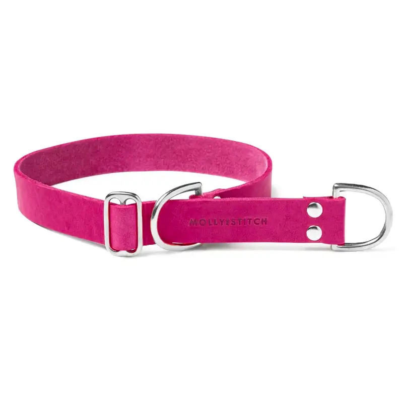 Collier de Retriever chien Flamingo Molly & Stitch - Butter Leather - CHOUKETT Paris (3)