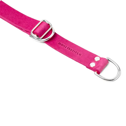 Collier de Retriever chien Flamingo Molly & Stitch - Butter Leather - CHOUKETT Paris (4)