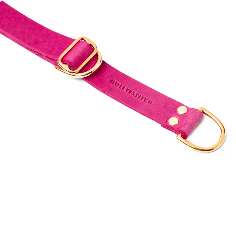 Collier de Retriever chien Flamingo Molly & Stitch - Butter Leather - CHOUKETT Paris (2)