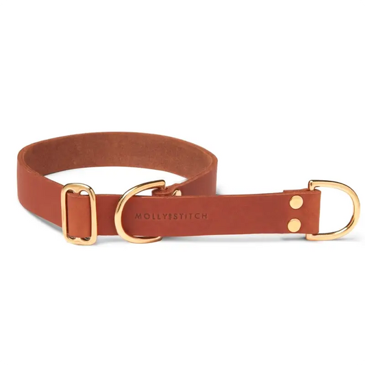 Collier de Retriever chien Sahara Cognac Molly & Stitch - Butter Leather - CHOUKETT Paris (1)