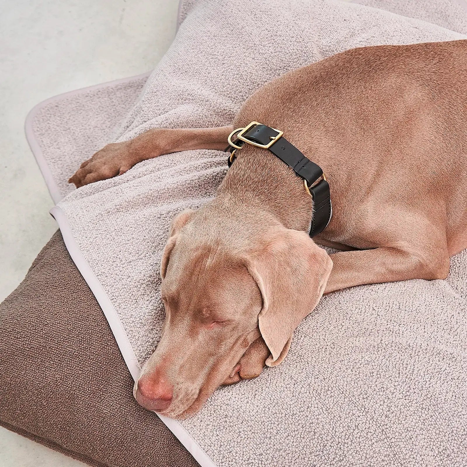 Couverture Chien Mero Sand MiaCara - CHOUKETT Paris (2)