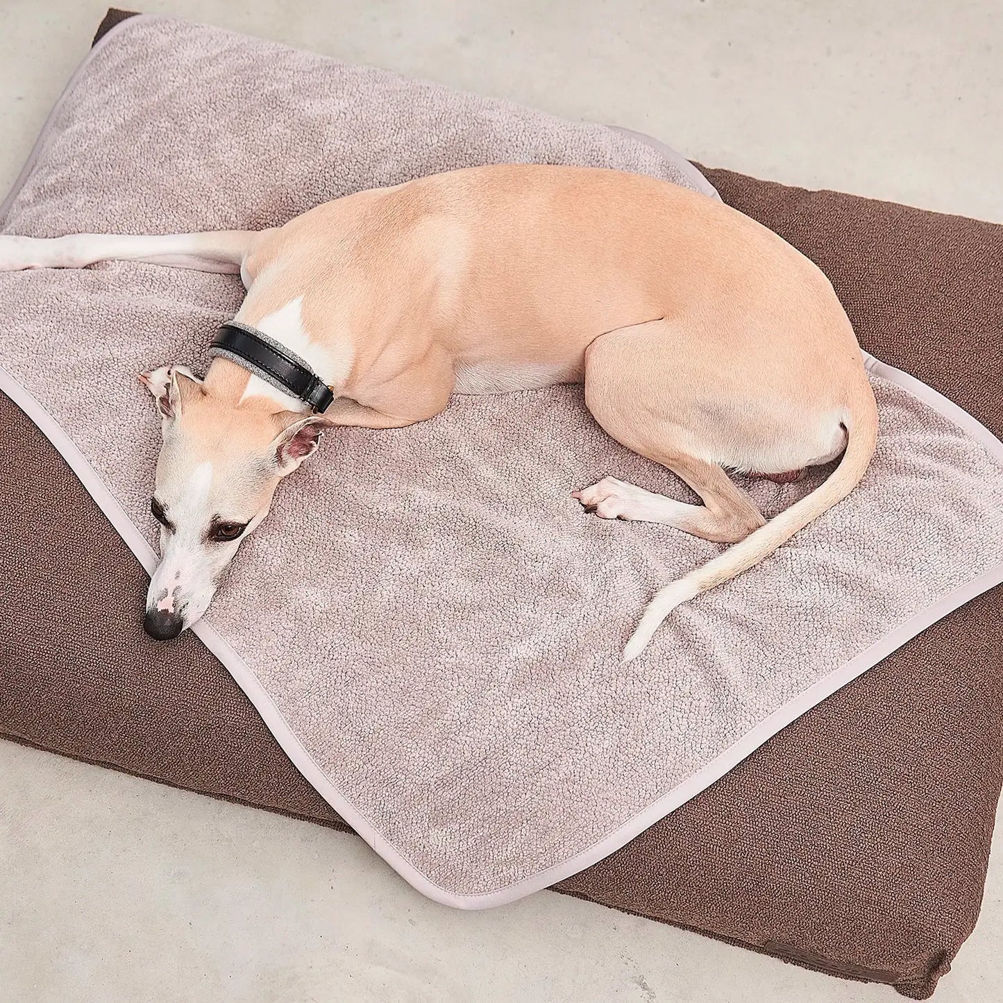 Couverture Chien Mero Sand MiaCara - CHOUKETT Paris (5)