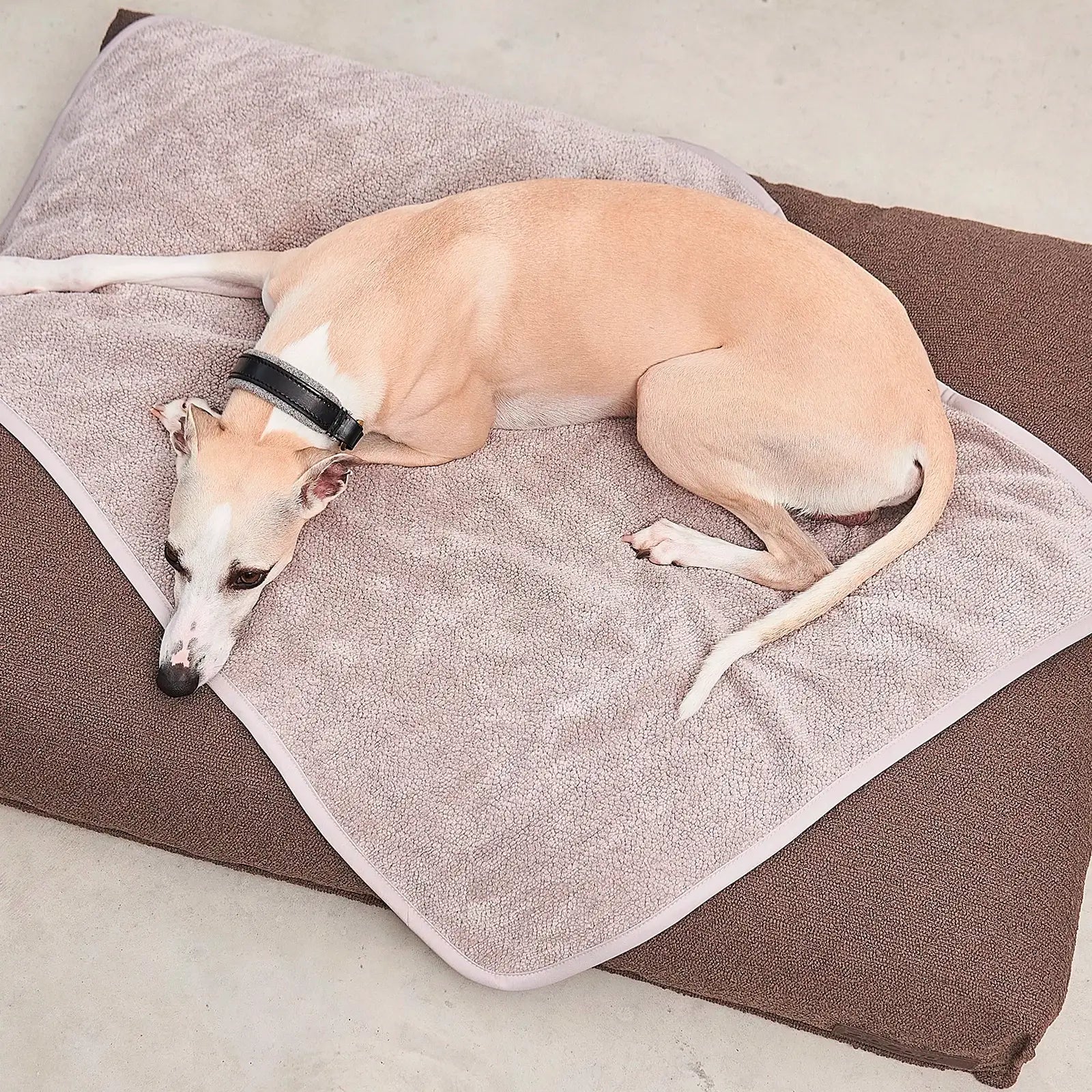 Couverture Chien Mero Sand MiaCara - CHOUKETT Paris (5)