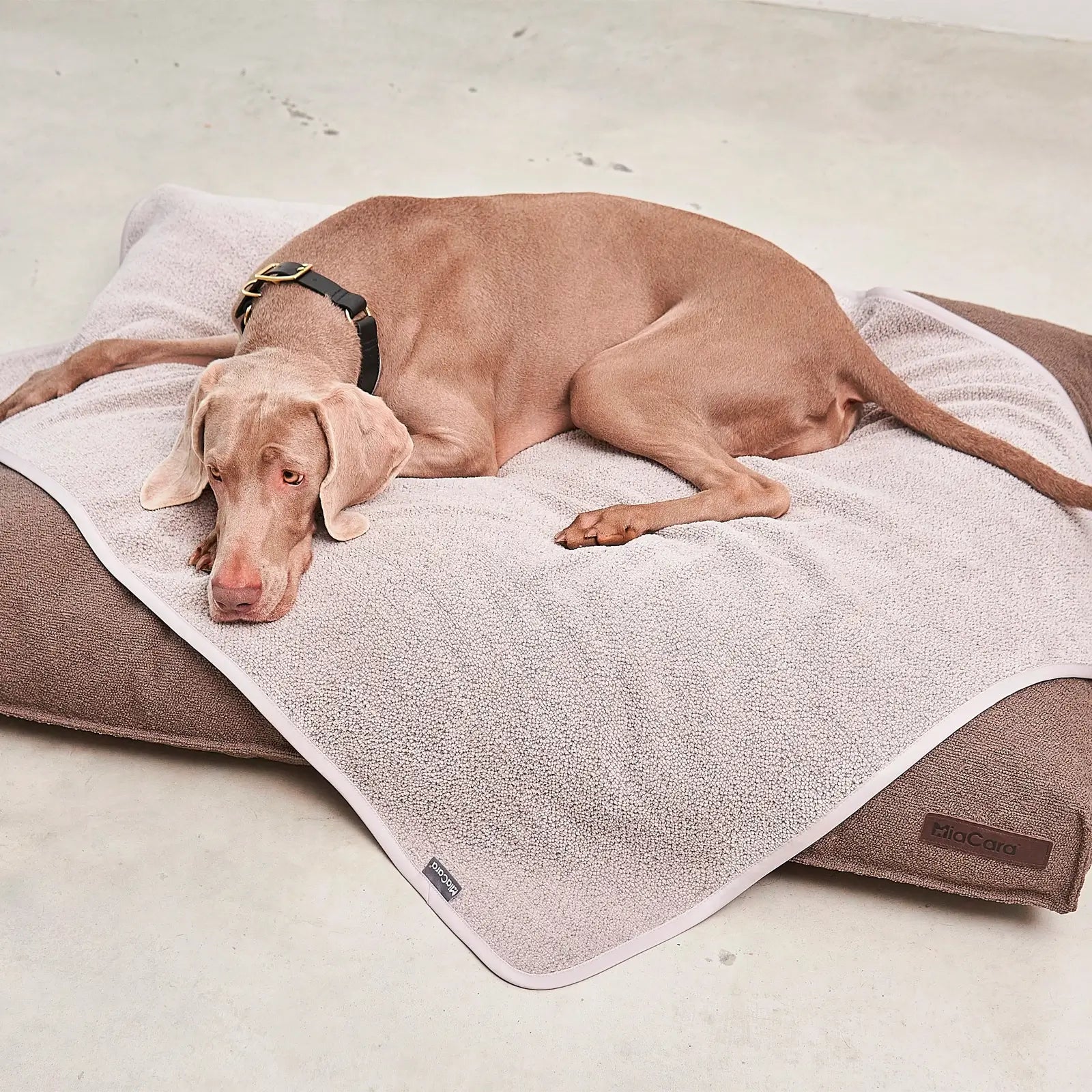 Couverture Chien Mero Sand MiaCara - CHOUKETT Paris (6)