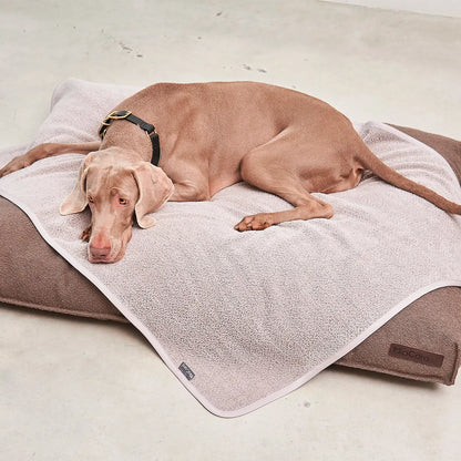 Couverture Chien Mero Sand MiaCara - CHOUKETT Paris (6)