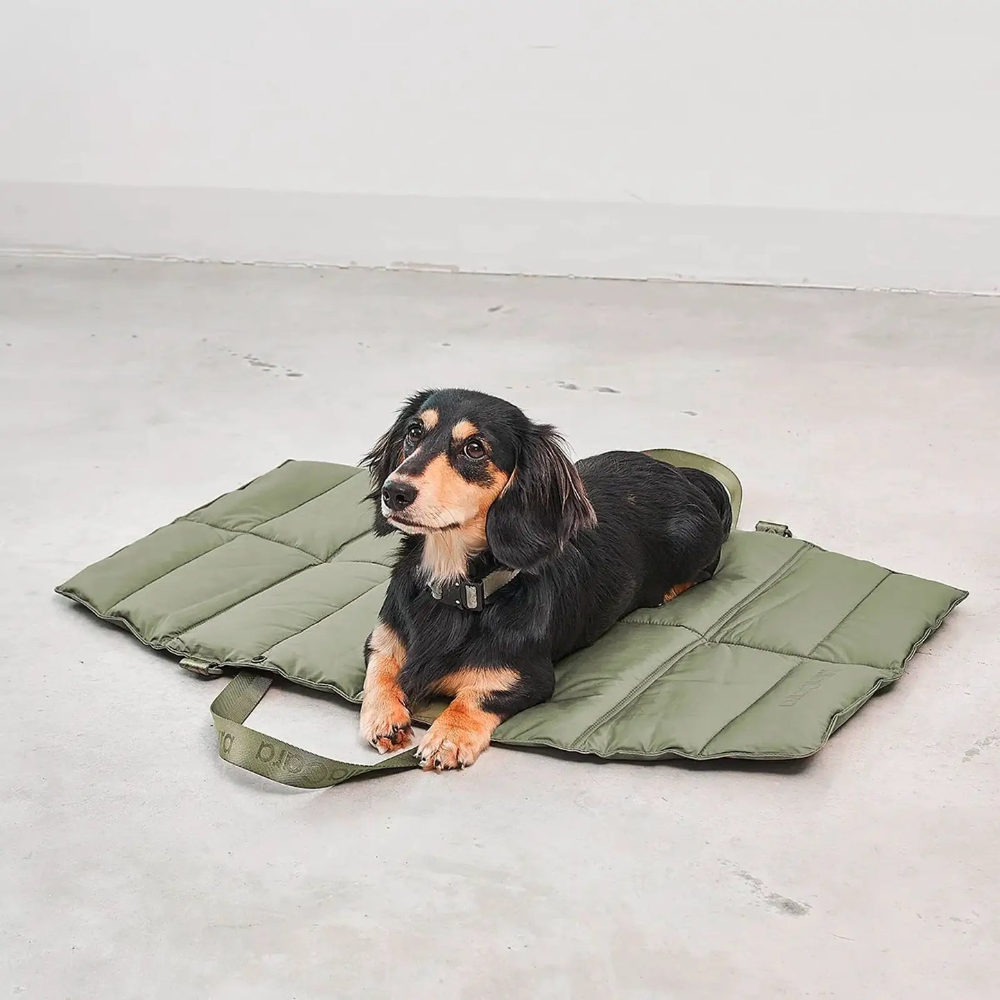 Tapis de voyage pour chien Strada Asphalt MiaCara - CHOUKETT Paris (10)