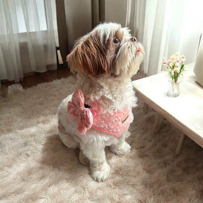 Noeud pour chien Sailor Licorice Trufois - CHOUKETT Paris (3)