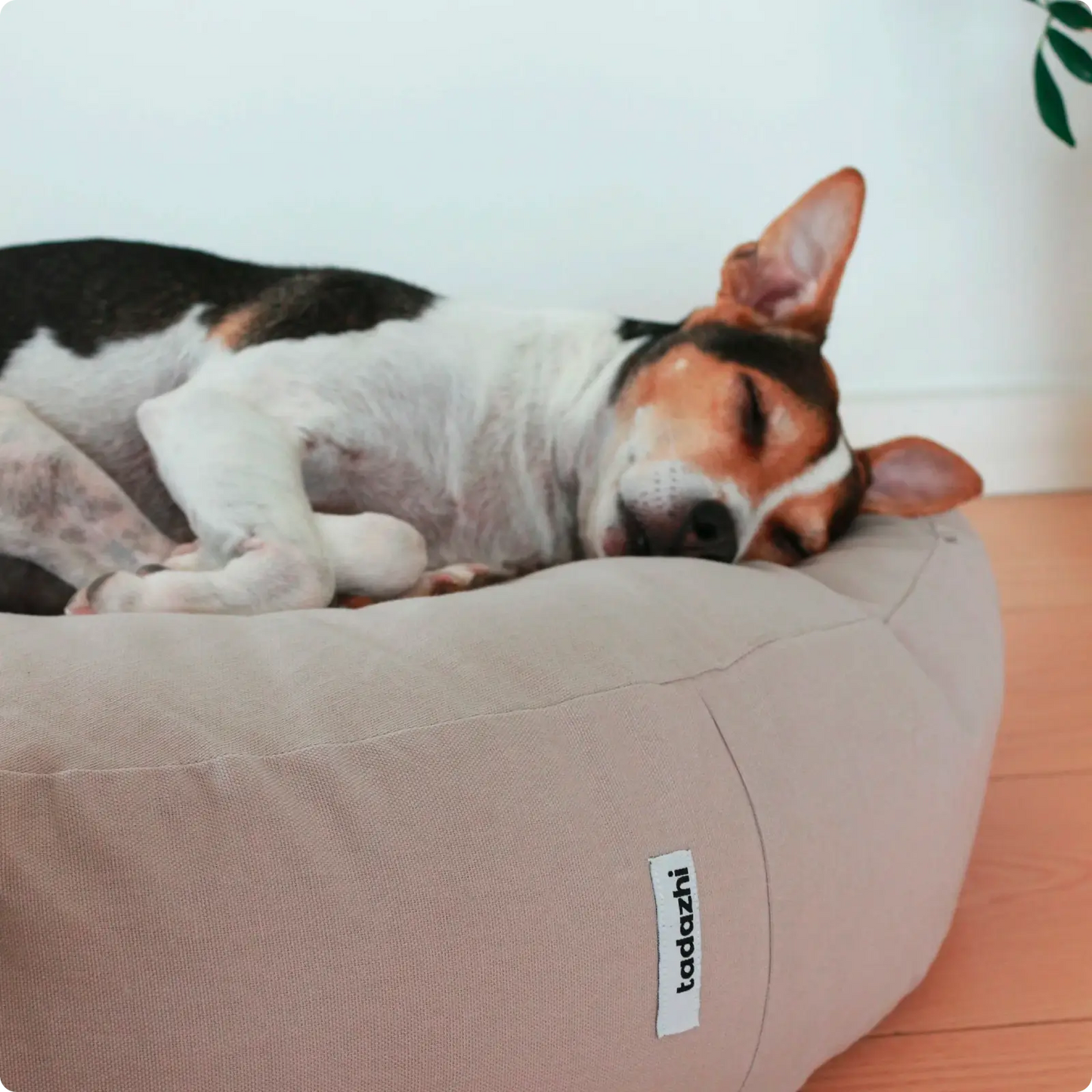 Coussin pour Chien Poespas Sand Tadazhi - CHOUKETT Paris (2)