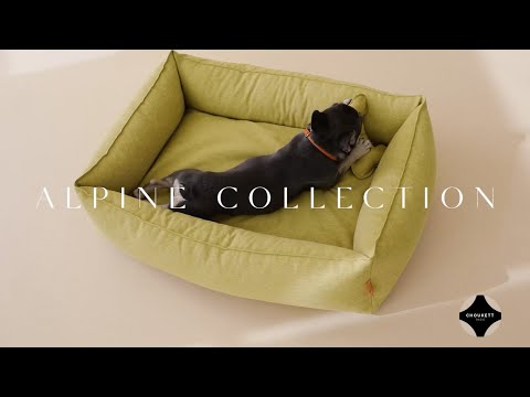 Distributeur Sacs à Déjection pour Chien Anthracite Molly & Stitch - Alpine - CHOUKETT Paris (6)