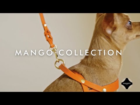 Collier de Retriever chien Mango Molly & Stitch - Butter Leather - CHOUKETT Paris (4)