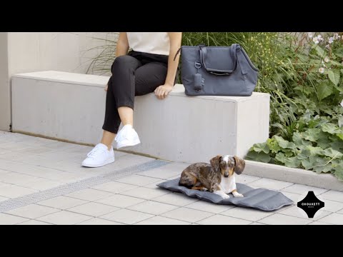 Sac Pour Chien Sporta Grolive MiaCara - CHOUKETT Paris (14)