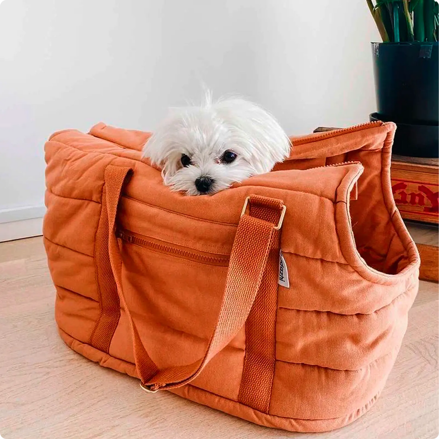 Sac de Transport pour Chien Rio Light Brown Tadazhi - CHOUKETT Paris (3)