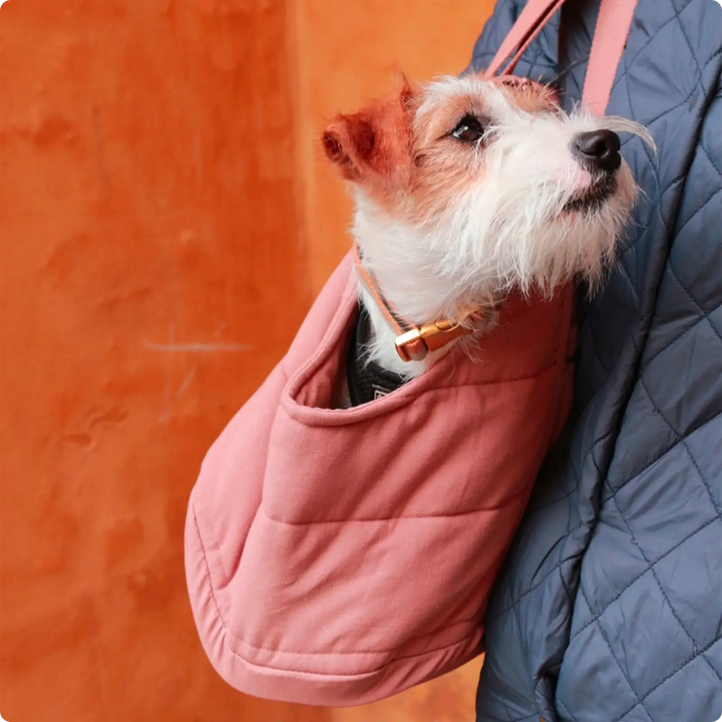 Sac de Transport pour Chien Rio Rose Tadazhi - CHOUKETT Paris (2)