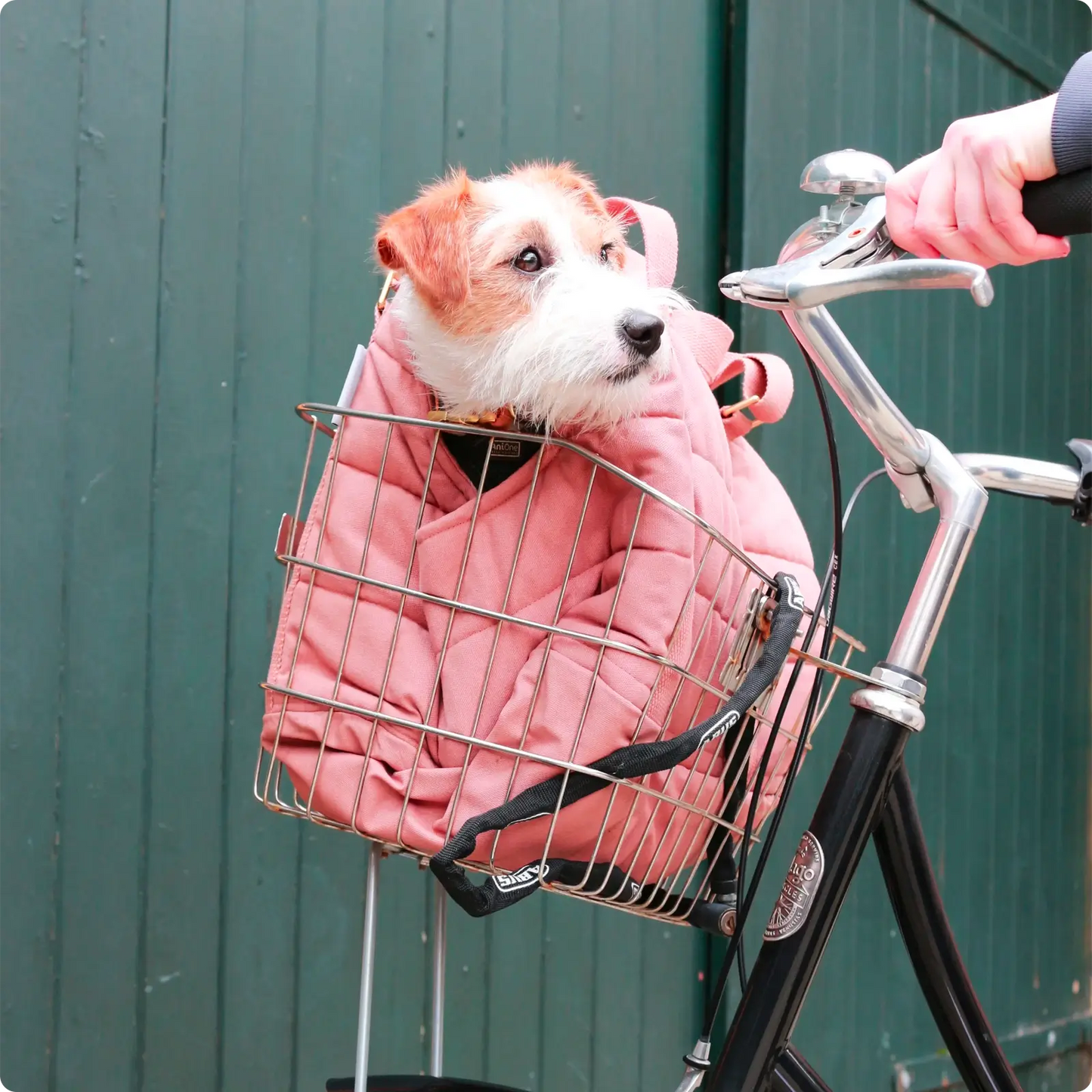 Sac de Transport pour Chien Rio Rose Tadazhi - CHOUKETT Paris (3)