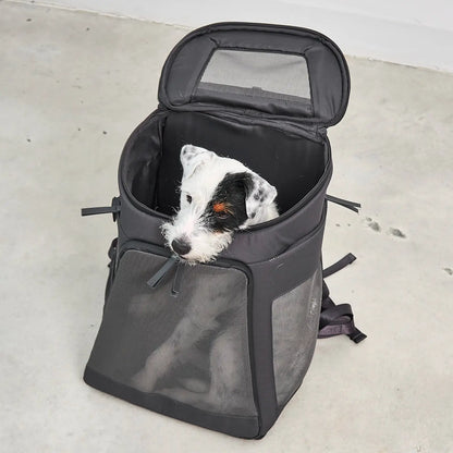 Sac à Dos Pour Chien Zaino Asphalt MiaCara - CHOUKETT Paris (2)