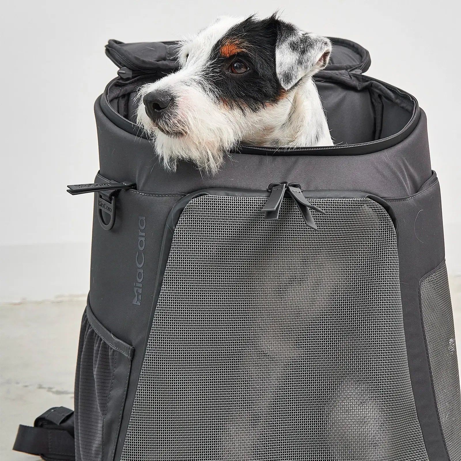 Sac à Dos Pour Chien Zaino Asphalt MiaCara - CHOUKETT Paris (3)