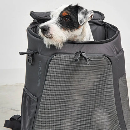Sac à Dos Pour Chien Zaino Asphalt MiaCara - CHOUKETT Paris (3)