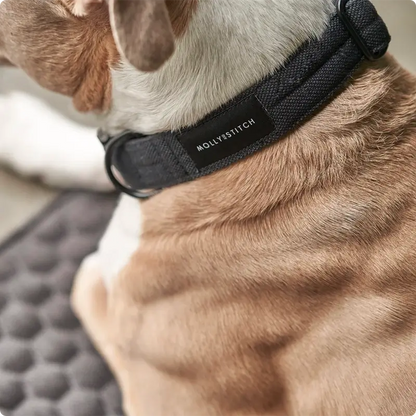 Collier chien Black Molly & Stitch - Soft Rock - CHOUKETT Paris (4)